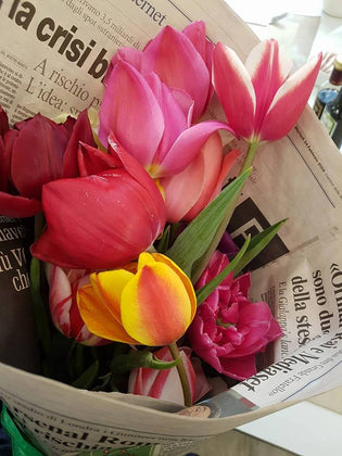  Tulipani in vaso: come tenerli belli più a lungo